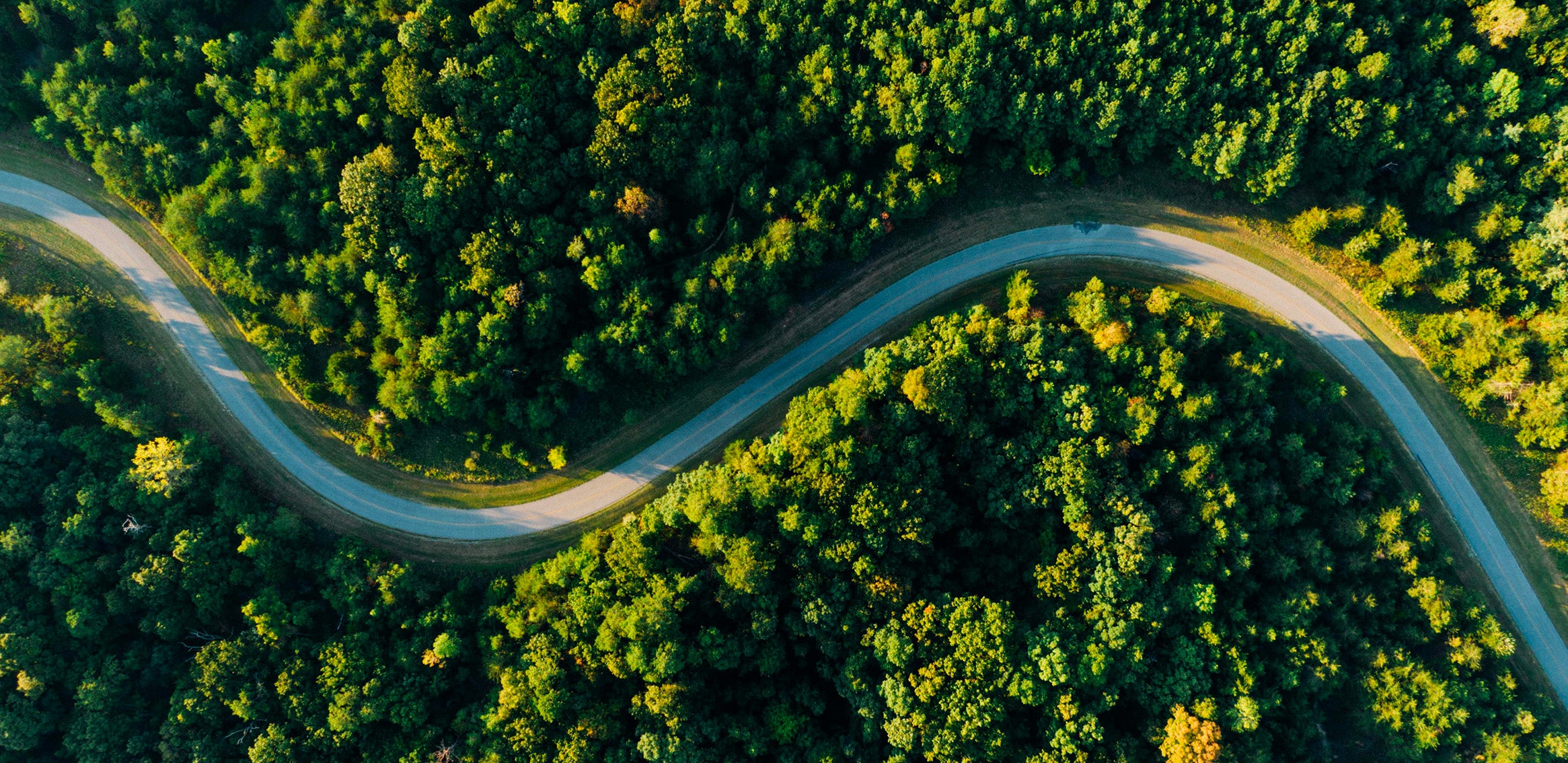 Pack DJI D-Log LUTs